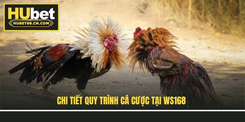 Chi tiết quy trình cá cược tại Ws168